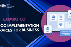 EximRo.Co - Odoo Implementation services for BUSINESS